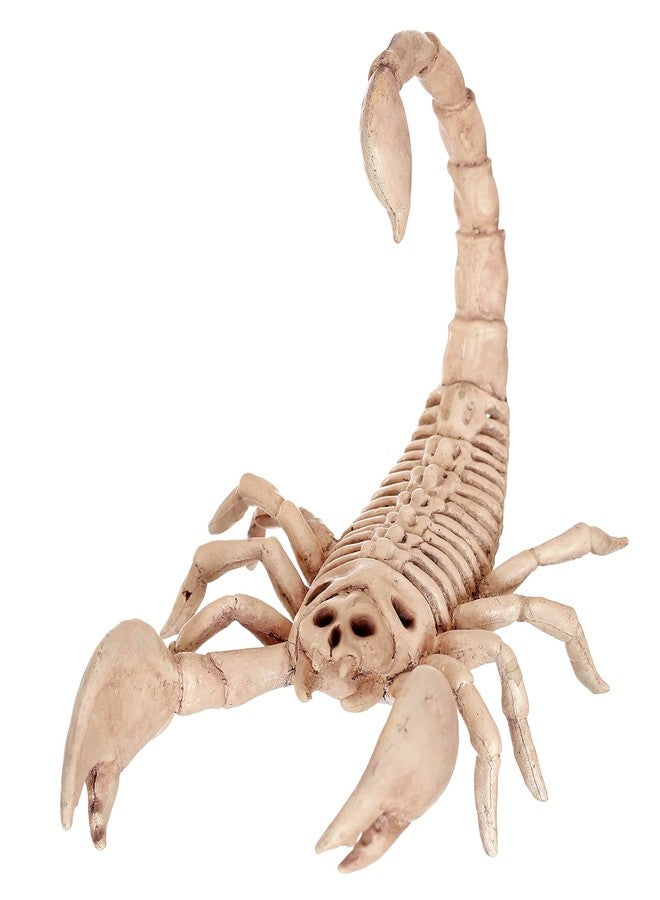 Crazy Bonez Skeleton Scorpion - Image 1